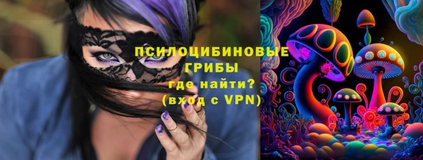 a pvp Арсеньев