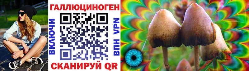 Галлюциногенные грибы Magic Shrooms  Сунжа 
